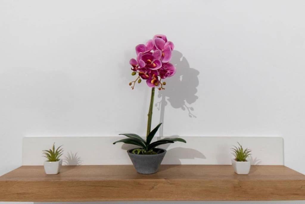 Brand New Aprt With Backyard In Lycabettus Hill ! Apartment เอเธนส์ ภายนอก รูปภาพ
